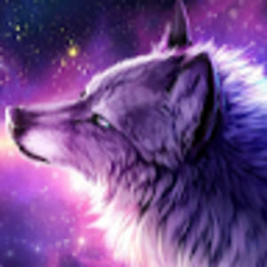 Meet your Posher, Trinity